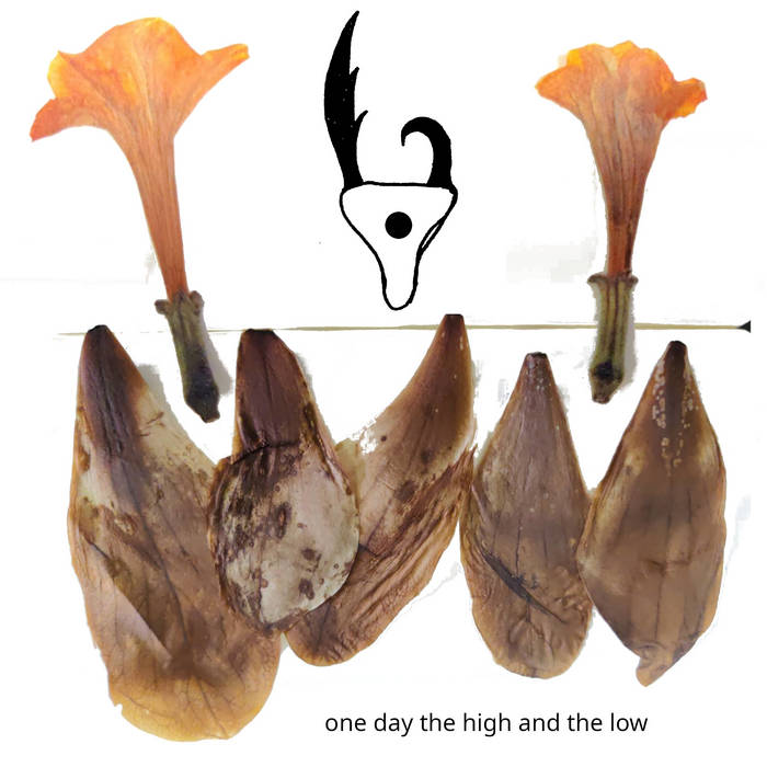 oneDayTheHighAndTheLow-cover